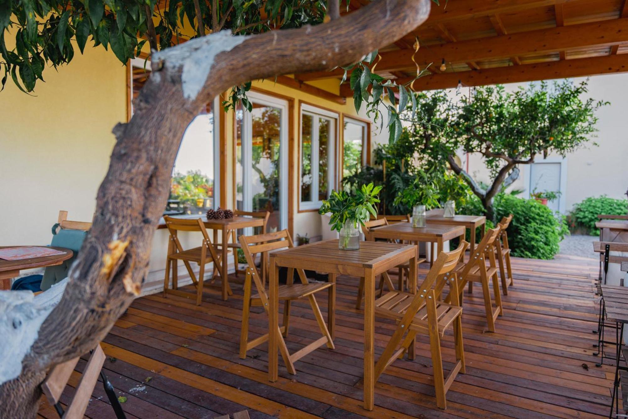 CàSolare Country House Sperlonga Extérieur photo